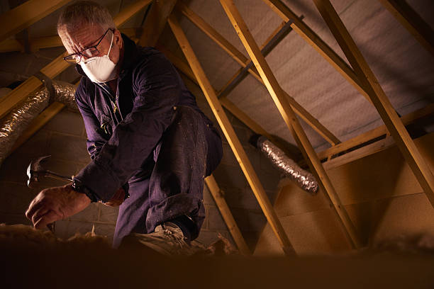 Best Attic Insulation Installation  in Batavia, IL